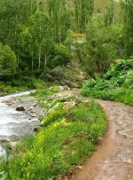 راهنمای سفر یک روزه به طالقان