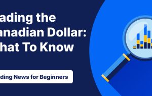 دسترسی رد شد