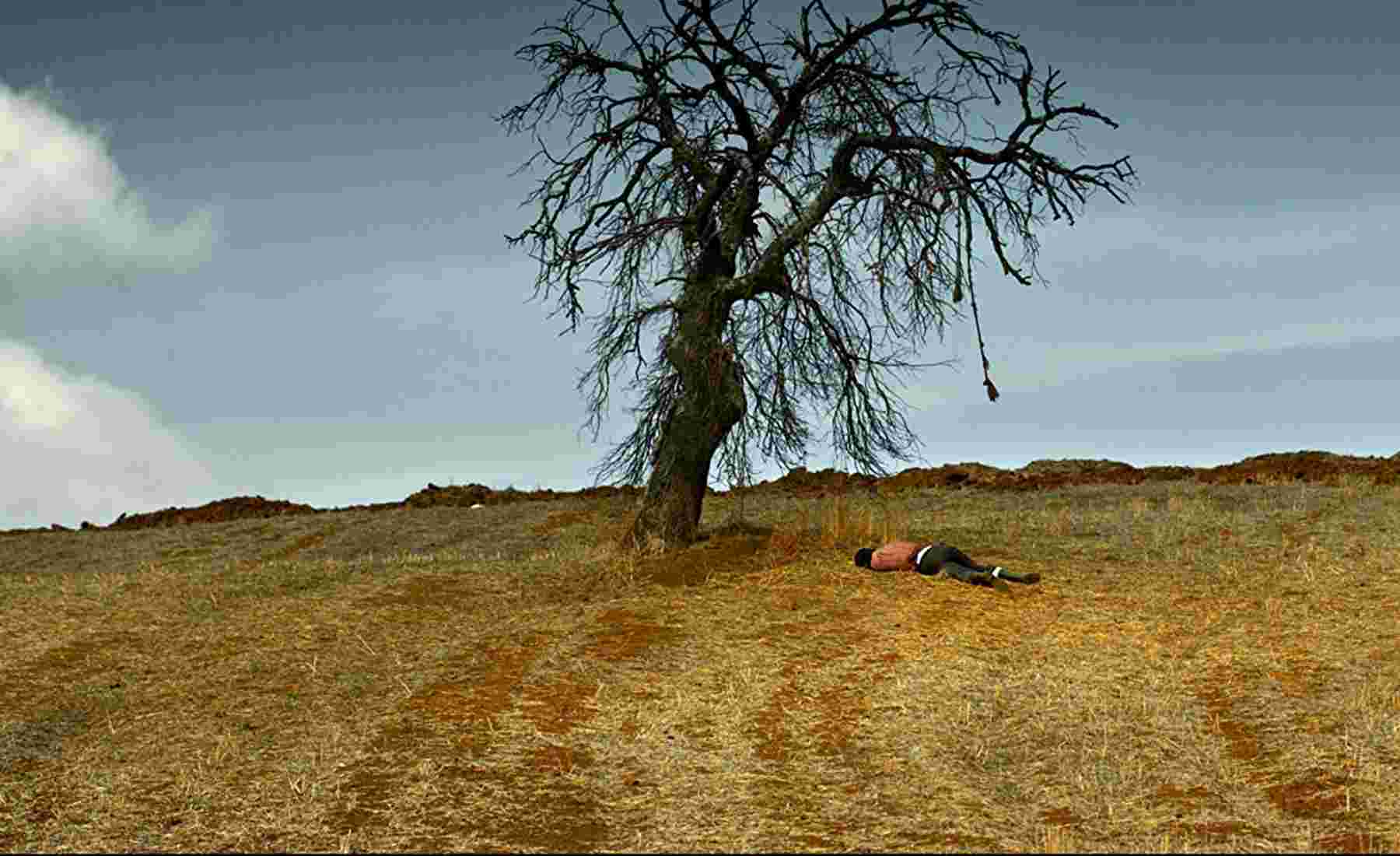 نمایی از فیلم درخت گلابی