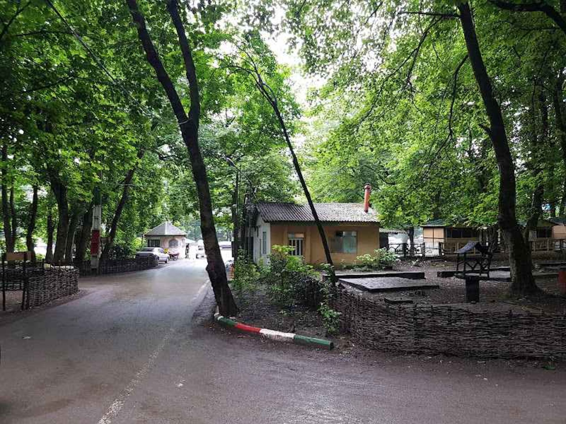 درختان و امکانات پارک جنگلی هزار پله آمل