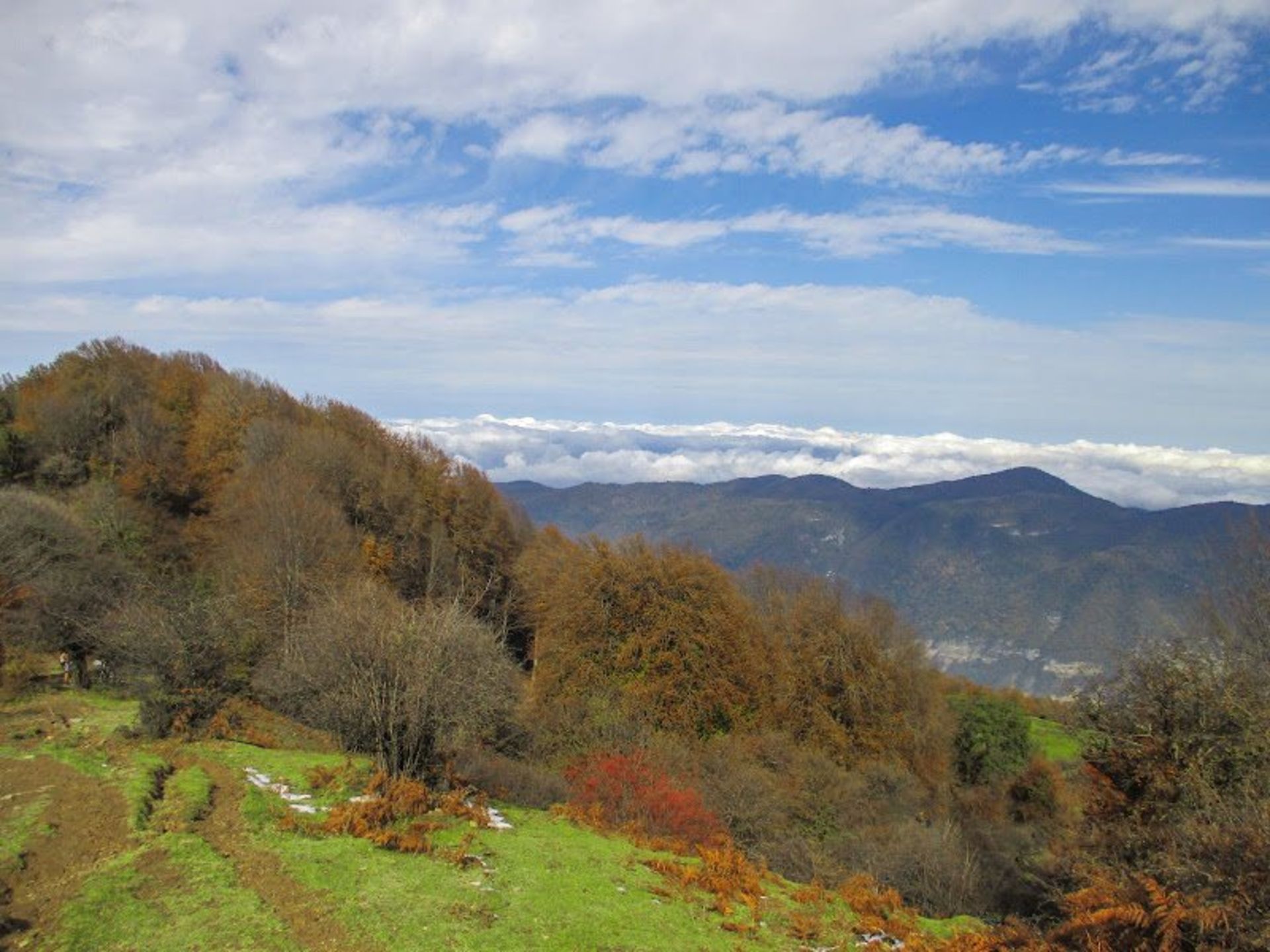 دریای ابر جنگل الیمستان