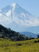 راهنمای سفر یک روزه به جنگل الیمستان