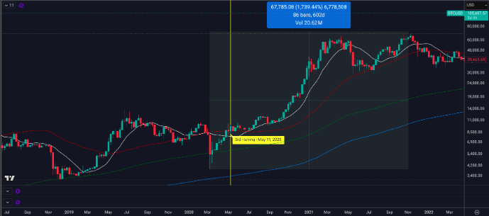 شرط بندی بیت کوین تاهینی: چگونه یک زنجیره خانوادگی از تورم خارج می شود