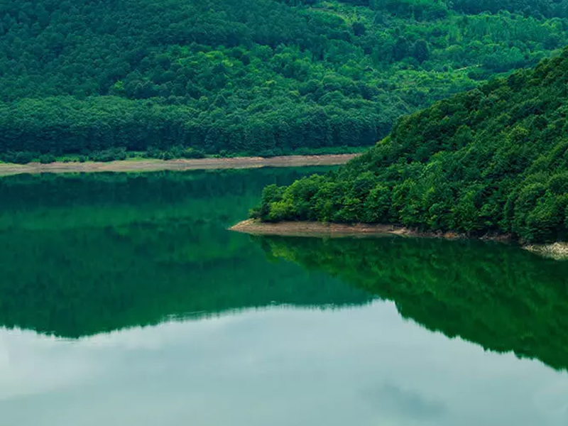 فعالیت‌های جذاب در شیرگاه