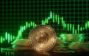 Bitcoin ETFs با 302 میلیون دلار جریان را با 302 میلیون دلار افزایش می دهد زیرا Ether ETFS 19 روزه به پایان می رسد