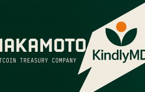Kindlymd 51.5 میلیون دلار برای تسریع در استراتژی خزانه داری بیت کوین خود تأمین می کند