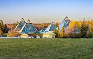 آلبرتا پنج تساوی مهاجرت استانی دارد