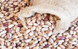 اختلاف قیمت ۲۰۰ هزار تومانی لوبیا چیتی در بازار و فروشگاه/ یک بسته بندی ۲۰۰ هزار تومان آب میخورد اختلاف قیمت ۲۰۰ هزار تومانی لوبیا چیتی در بازار و فروشگاه/ یک بسته بندی ۲۰۰ هزار تومان آب میخورد