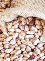 اعلام نرخ جدید قیمت لوبیا چیتی/این کالا را گران‌تر از این رقم نخرید