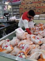 توزیع گوشت مرغ تنظیم بازار آغاز شد