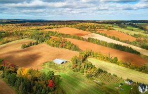 جزیره شاهزاده ادوارد دعوت نامه هایی را به نامزدهای مهاجرت استانی گسترش می دهد جزیره شاهزاده ادوارد دعوت نامه هایی را به نامزدهای مهاجرت استانی گسترش می دهد