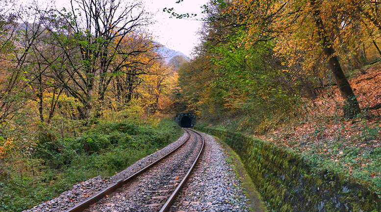 چطور به شیرگاه برویم؟