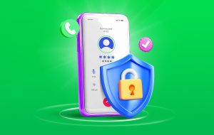 فعال‌سازی قابلیت تماس امن در اسنپ برای حفظ حریم خصوصی کاربران