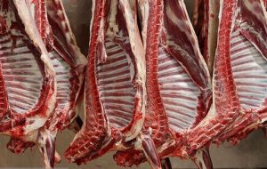 پرداخت یارانه به دامداران داخلی از تخصیص ارز به گوشت وارداتی بهتر نیست؟/ کیفیت گوشت دام ایرانی بالاتر از گوشت پاکستانی و قزاقستانی است