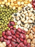 چرا قیمت لوبیاچیتی سر به فلک کشید؟