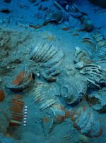 گنج ۲۰۰۰ ساله در دل دریا؛ کشف شگفت‌انگیز کشتی باستانی در ترکیه