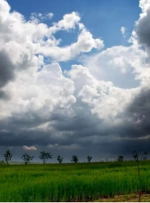 از امشب هوای کشور خنک‌تر می‌شود