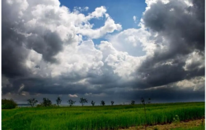 از امشب هوای کشور خنک‌تر می‌شود