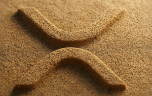 ساعت XRP قیمت: کلاه بازار در میان 5.5 ٪ افزایش هفتگی به 135 میلیارد دلار برخورد می کند