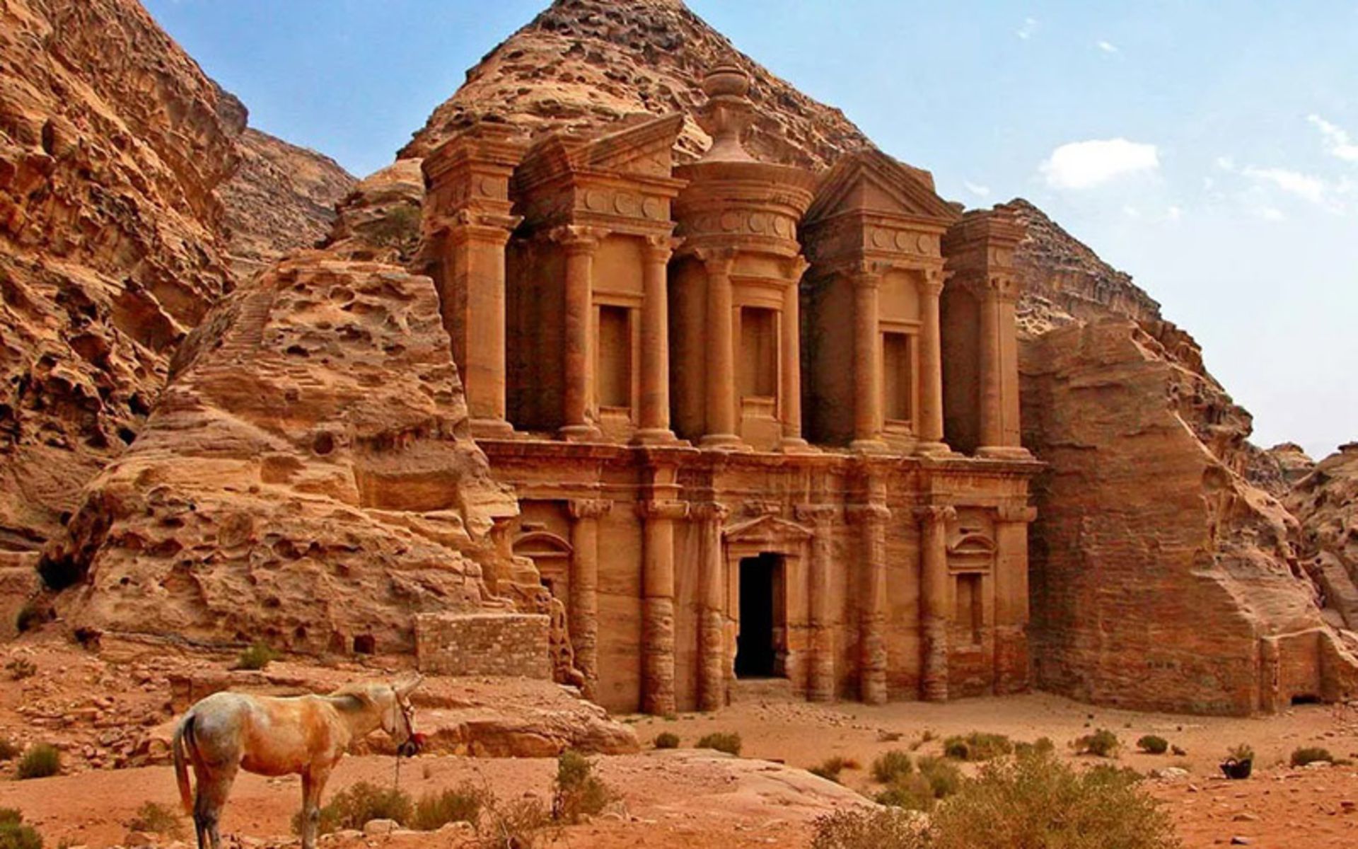 اسبی در کنار سازه قرمزرنگ پترا