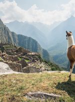 به پیشنهاد نشنال جئوگرافیک؛ این هفت محوطه باستانی را پیش از مرگ ببینید!