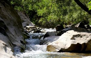 راهنمای سفر یک روزه به چال ماهی