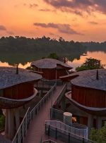 نخستین هتل احیاگر سنگاپور؛ تجملی سبز در دل باران‌های استوایی