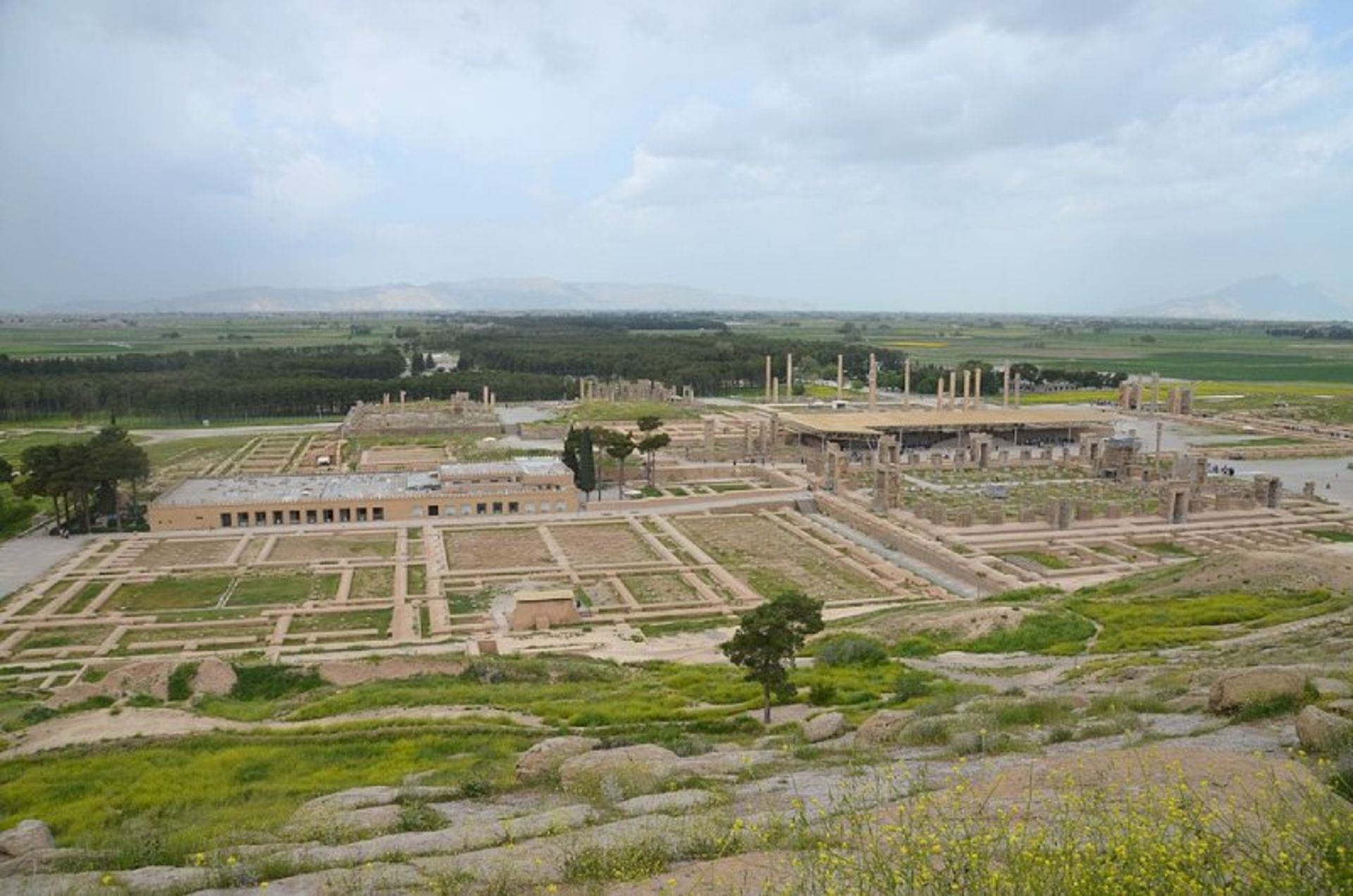 بقایای ستون های تخت جمشید شیراز