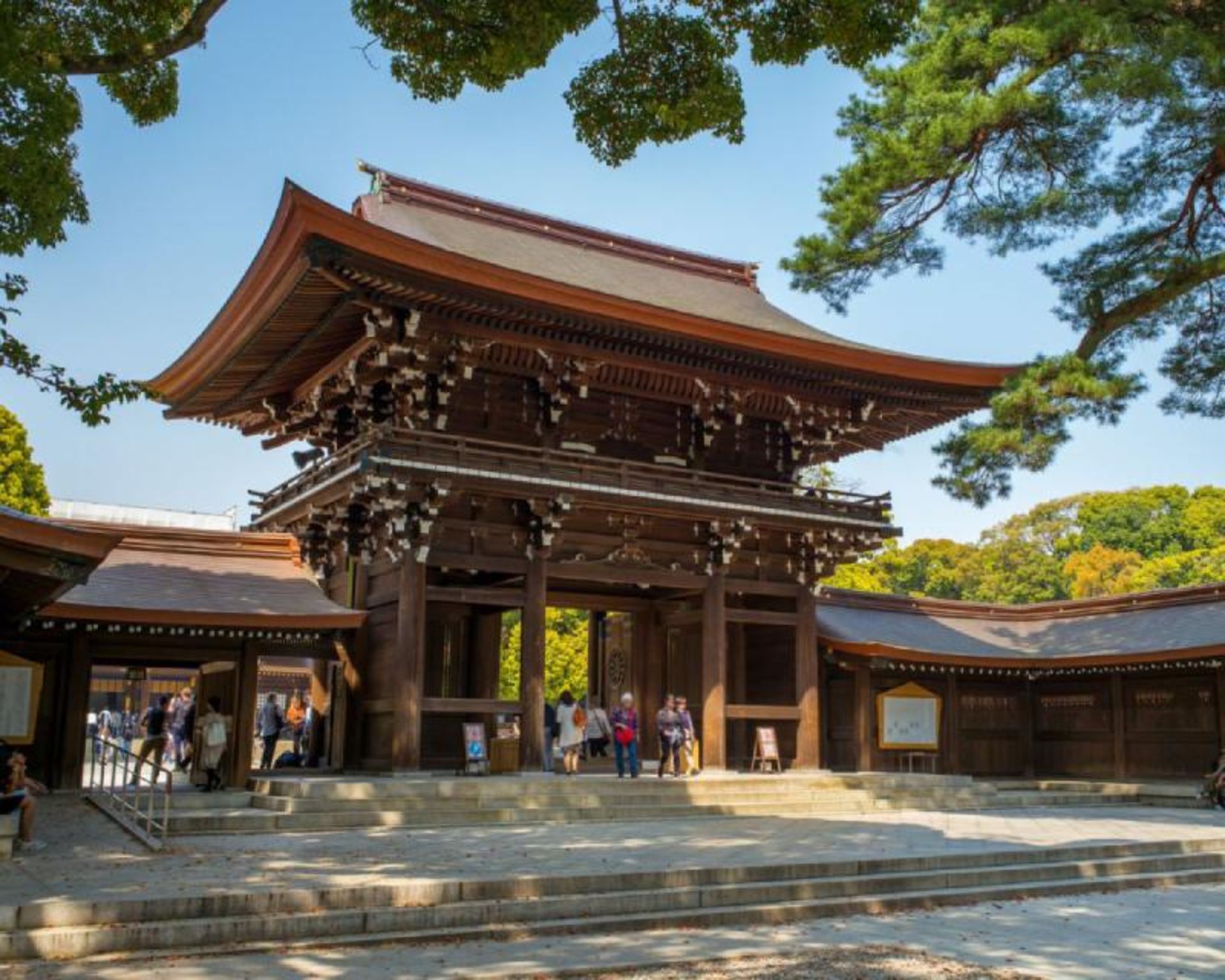 معبد میجی توکیو با معماری ژاپنی