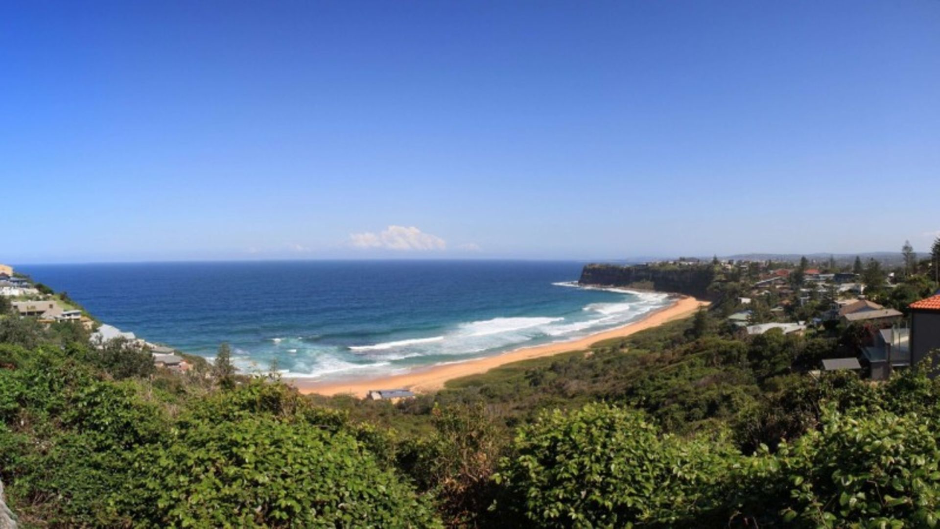 ساحل سیدنی در منطقه ای سرسبز