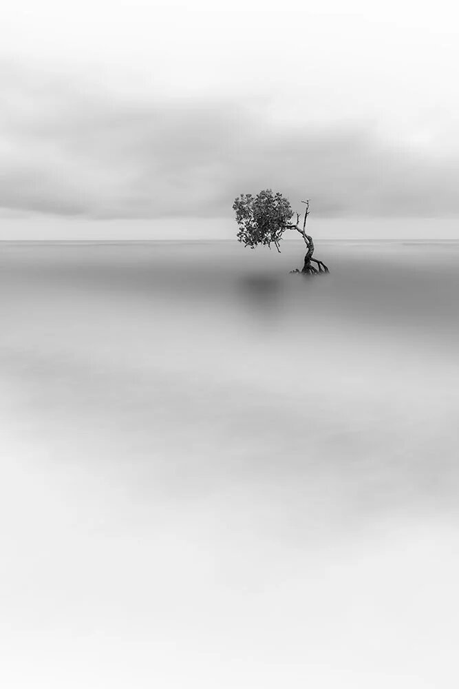 برندگان جوایز عکاسی مانگرو اعلام شدند/عکس