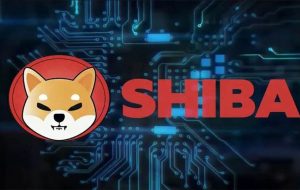 سقوط شدید قیمت شیبا اینو/ شیبا صفر می‌شود؟