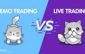 3 تفاوت روانشناختی بین نسخه ی نمایشی و تجارت زنده 3 تفاوت روانشناختی بین نسخه ی نمایشی و تجارت زنده