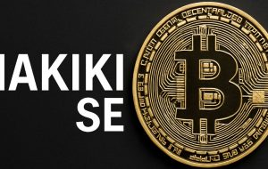 Nakiki SE برای اولین شرکت عمومی آلمانی با استراتژی خزانه داری “خالص” Nakiki SE برای اولین شرکت عمومی آلمانی با استراتژی خزانه داری “خالص”