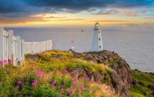 Newfoundland و Labrador دعوت نامه های مهاجرت استانی را صادر می کنند