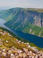 Newfoundland و Labrador دعوت نامه هایی را برای نامزدهای PNP و AIP صادر می کنند