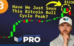 آیا ما فقط اوج چرخه بیت کوین را دیده ایم؟