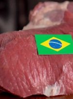 اختلال در واردات گوشت قرمز از برزیل