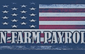 حقوق و دستمزد غیر مزرعه چیست؟ چرا NFP مهم است؟ – تجزیه و تحلیل و پیش بینی – 7 ژوئیه 2025
