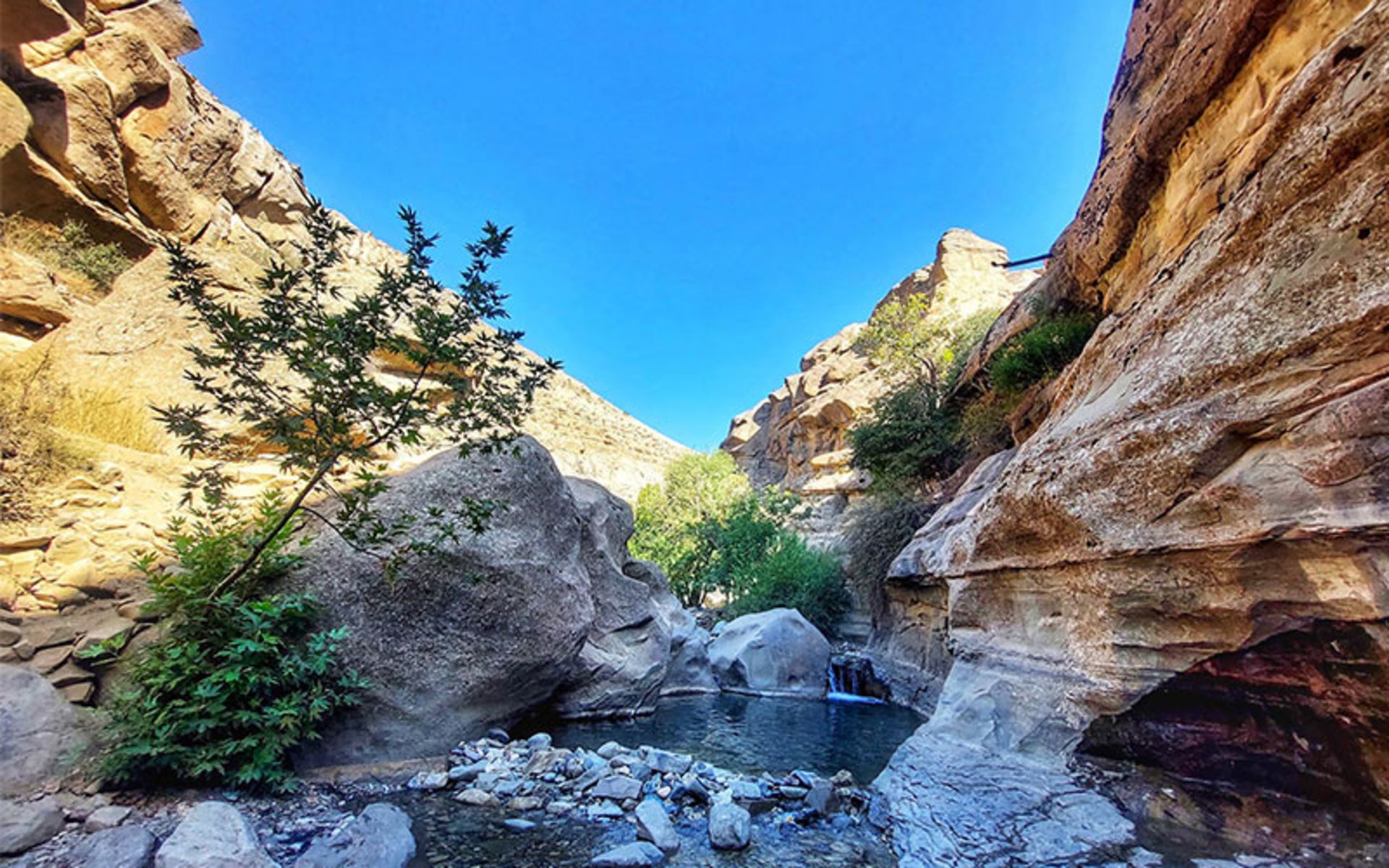 حوضچه آب در میان صخره ها و طبیعت سرسبز چال ماهی