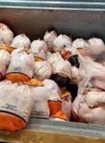 سقف قیمت مرغ ۱۰۵ هزار تومان اعلام شد-راهبرد معاصر