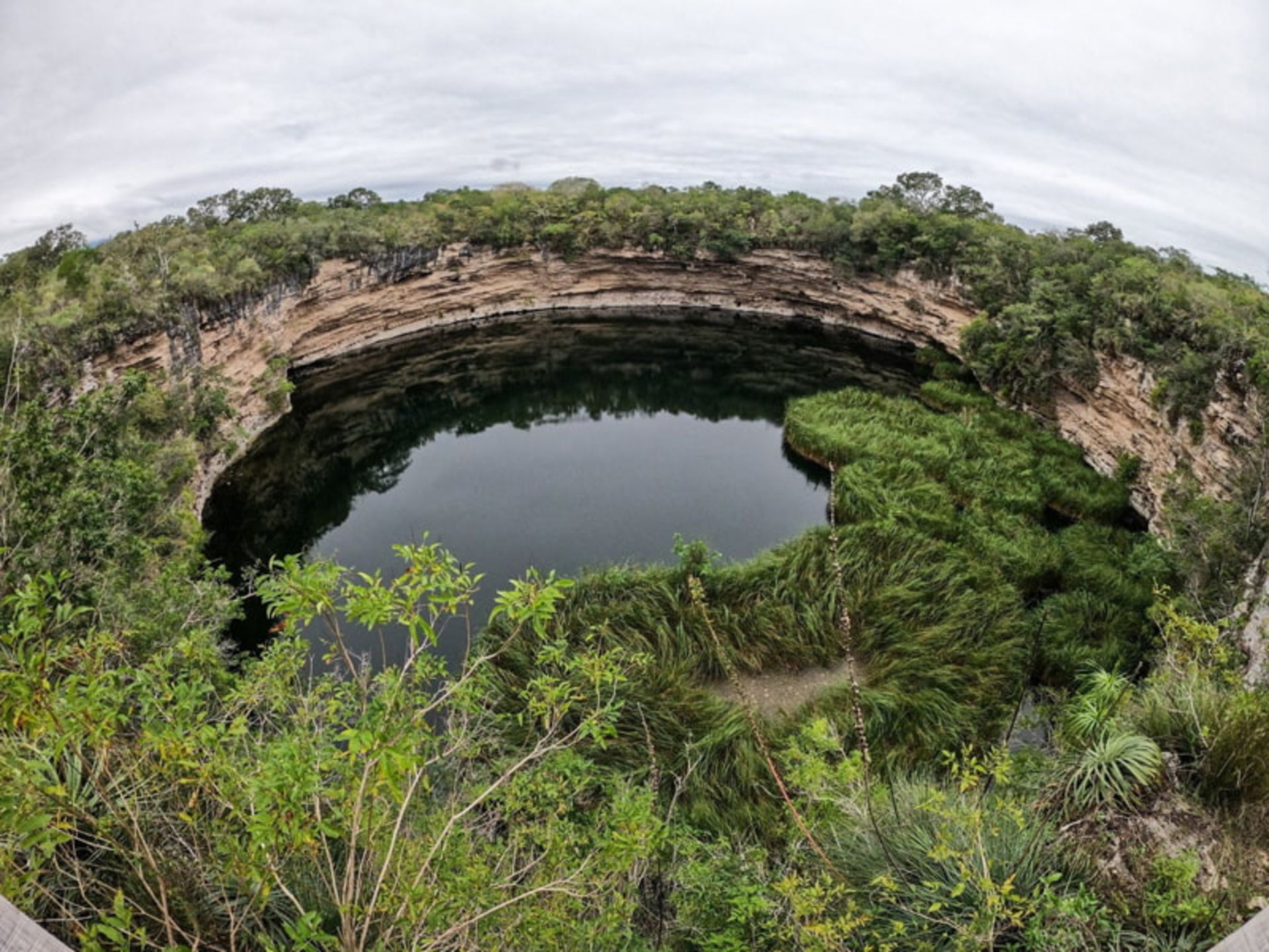 سرسبزی فروچاله عمیق ال زاکاتون در مکزیک
