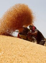 هشدار درباره تبعات تاخیر در اعلام قیمت خرید گندم