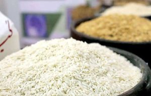 پیش‌بینی کاهش قیمت برنج با ورود محصول امسال و وارداتی در آینده نزدیک