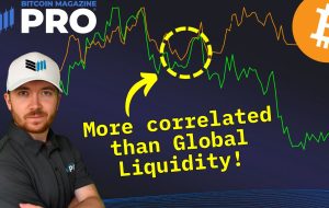 چرا نقدینگی برای بیت کوین بیش از هر زمان دیگری اهمیت دارد