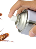 چگونه سوسک را پیدا کنیم و برای همیشه از شرش خلاص شویم؟