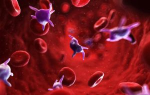 برای افزایش پلاکت خون چه بخوریم؟ + ۱۰ ماده غذایی برای افزایش پلاکت خون