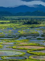 قدم زدن روی آب، تنها پارک ملی شناور جهان را ببینید!