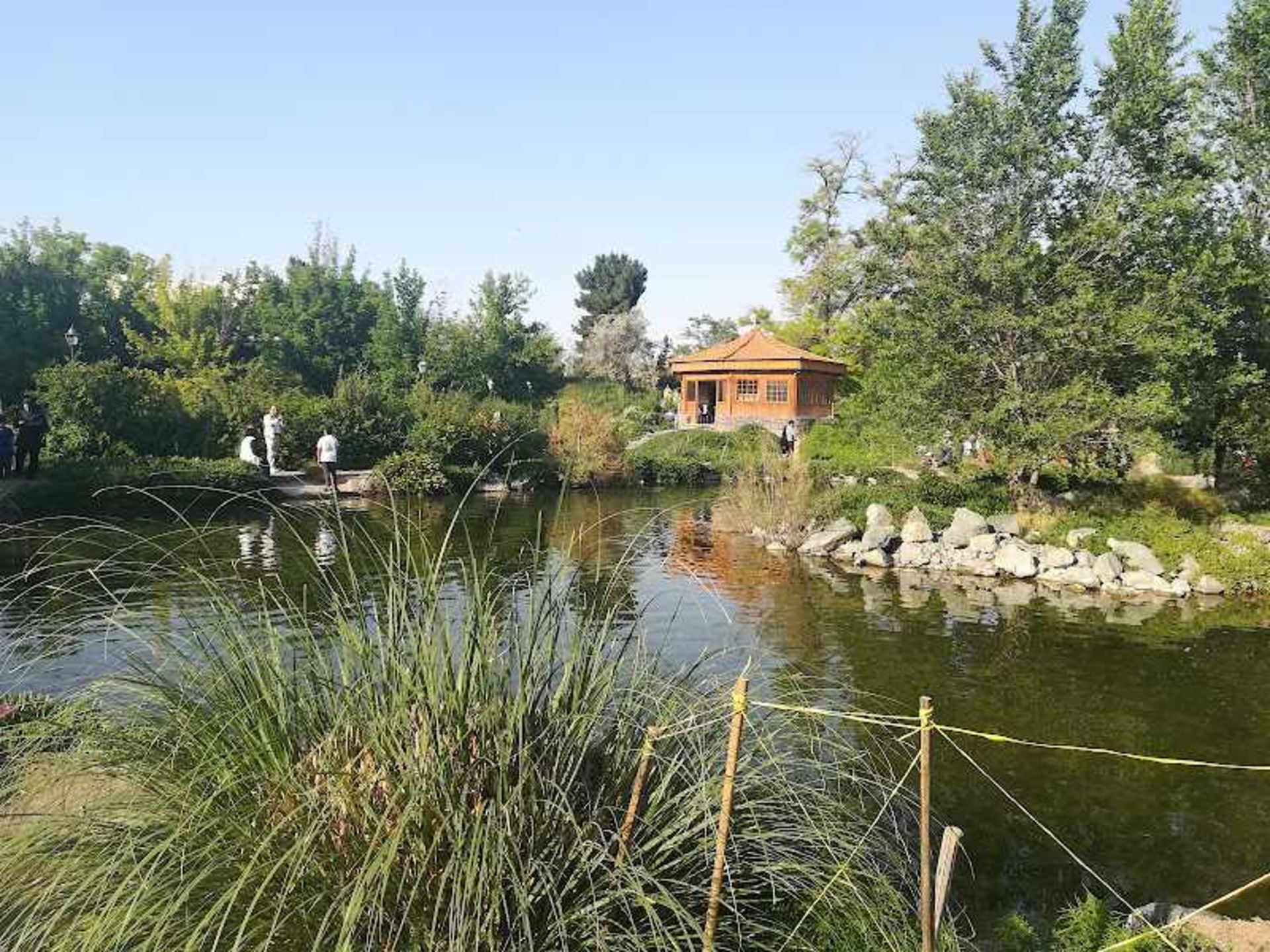 پوشش گیاهی و دریاچه مصنوعی باغ مشهد