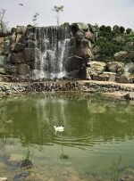 تابستان مشهد کجا بریم؟ده تا از بهترین جاذبه‌ها برای سفر خنک